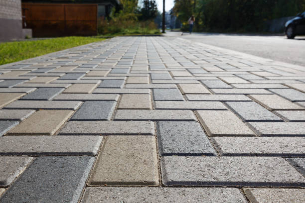 Best Driveway Pavers Near Me  in Warminster Heights, PA
