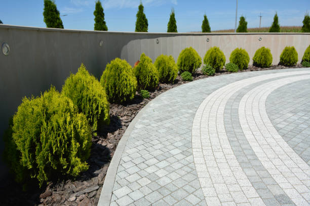 Best Interlocking Driveway Pavers  in Warminster Heights, PA